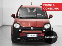 Usata Fiat Panda Cross Cross 70 CV (51 kW) 2025 Rosso Utilitaria