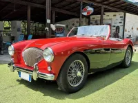 Usata Austin Healey 100 89 CV (65 kW) 1954 Rosso Cabrio