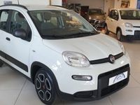 usata Fiat Panda Cross 1.0 FireFly S&S Hybrid City del 2022 usata a Sanremo