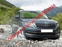 usata Skoda Kodiaq 2.0 TSI 4x4 DSG RS