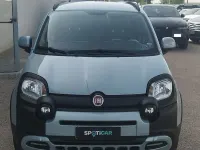 Usata Fiat Panda Cross Cross 69 CV (50 kW) 2020 Grigio Utilitaria