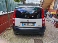 Usata Fiat Panda 60 CV (44 kW) 2009 Utilitaria