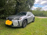 Usata Lexus UX 152 CV (111 kW) 2023 Grigio SUV