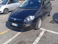 usata Fiat Punto Punto 1.4 8V 5 porte Easypower Street