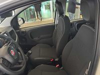 Nuova Fiat Panda Icon 70 CV (51 kW) 2025 Bianco Utilitaria
