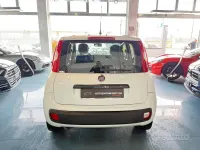Usata Fiat Panda Lounge 80 CV (58 kW) 2017 Bianco Utilitaria