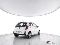 Usata Kia Picanto 65 CV (47 kW) 2016 Bianco Utilitaria