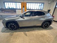 usata Lexus UX UX 250h Luxury250h HEV