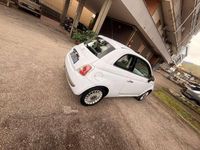 Usata Fiat 500 69 CV (50 kW) 2008 Utilitaria