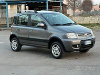 Usata Fiat Panda 4x4 Climbing 69 CV (50 kW) 2010 Grigio Utilitaria