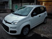 Usata Fiat Panda Easy 69 CV (50 kW) 2019 Bianco Berlina