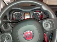 Usata Fiat Panda Cross Cross 69 CV (50 kW) 2024 Verde Utilitaria