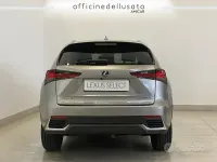 Usata Lexus NX300h 155 CV (114 kW) 2021 SUV