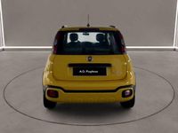 Usata Fiat Panda Cross Cross 69 CV (50 kW) 2021 Giallo Utilitaria