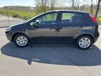 Usata Fiat Punto Lounge 69 CV (50 kW) 2016 Utilitaria