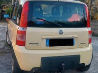 Usata Fiat Panda 4x4 2004 Giallo Utilitaria