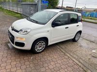 usata Fiat Panda 1.2 easypower MyLife Gpl 69cv gpl neopatentati ok