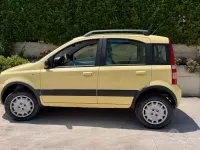 Usata Fiat Panda 4x4 Climbing 60 CV (44 kW) 2009 Giallo Utilitaria