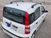 Usata Fiat Panda 70 CV (51 kW) 2008 Bianco Utilitaria