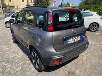 Usata Fiat Panda Cross Cross 69 CV (50 kW) 2022 Grigio Utilitaria