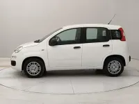 Nuova Fiat Panda S 70 CV (51 kW) 2025 Bianco Utilitaria