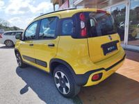 usata Fiat Panda 4x4 1.0 FireFly S&S Hybrid