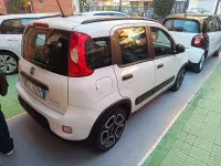 Usata Fiat Panda Cross Cross 69 CV (50 kW) 2022 Utilitaria