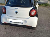 Usata Smart ForFour Prime 90 CV (66 kW) 2019 Utilitaria