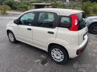 Usata Fiat Panda Easy 69 CV (50 kW) 2017 Beige Utilitaria