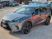 usata Lexus NX300h NX Hybrid 4WD Business