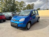 Usata Fiat Panda S 71 CV (52 kW) 2024 Blu Utilitaria