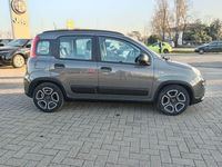 usata Fiat Panda 1.0 FireFly S&S Hybrid City Life