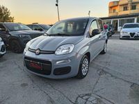 Usata Fiat Panda Easy 69 CV (50 kW) 2022 Grigio Utilitaria