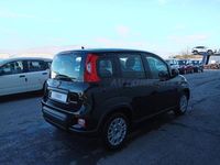 usata Fiat Panda My24 1.0 70cv Hybrid