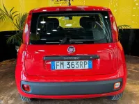 Usata Fiat Panda Easy 80 CV (58 kW) 2017 Rosso Utilitaria