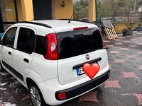 Usata Fiat Panda 2017 Utilitaria