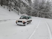 Occasion Fiat Panda 4x4 Trekking 54 ch (39 kW) 1999 Citadine