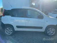 Usata Fiat Panda 4x4 75 CV (55 kW) 2014 Bianco Utilitaria