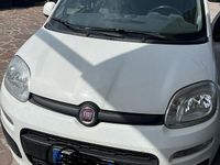 Usata Fiat Panda 95 CV (69 kW) 2017 Bianco Utilitaria
