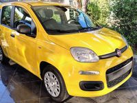 Nuova Fiat Panda Pop 69 CV (50 kW) 2025 Giallo Utilitaria