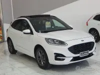 Usata Ford Kuga ST-Line X 150 CV (110 kW) 2022 Bianco SUV