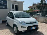 Usata Fiat Panda S 70 CV (51 kW) 2024 Bianco Utilitaria