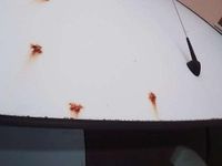 Usata Fiat Punto Dynamic 69 CV (50 kW) 2005 Berlina