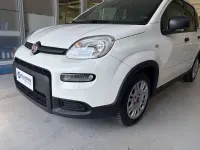 Usata Fiat Panda S 69 CV (50 kW) 2023 Bianco Utilitaria