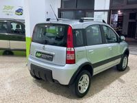 Usata Fiat Panda 4x4 Climbing 75 CV (55 kW) 2011 Grigio Utilitaria