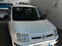 Usata Fiat Panda 69 CV (50 kW) 2010 Bianco Berlina