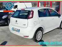 Usata Fiat Punto Street 75 CV (55 kW) 2015 Bianco Utilitaria