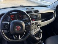 Usata Fiat Panda Cross Cross 2020 Grigio Utilitaria