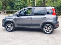 Usata Fiat Panda 4x4 S 95 CV (69 kW) 2018 Grigio Utilitaria