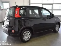 Usata Fiat Panda S 69 CV (50 kW) 2024 Nero Utilitaria
